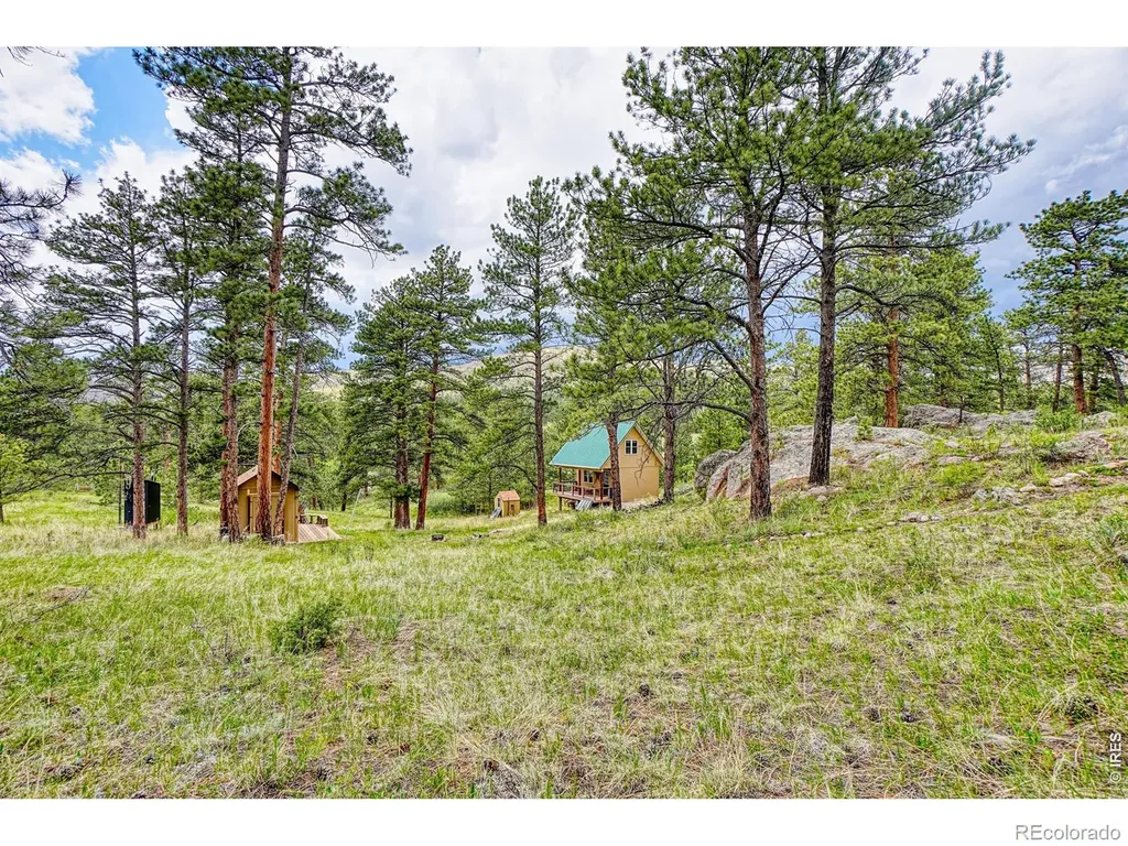 2365 Storm Mountain Drive Drake CO 80515