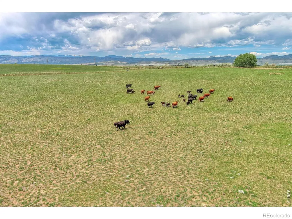 7481 N County Road 15 Fort Collins CO 80524