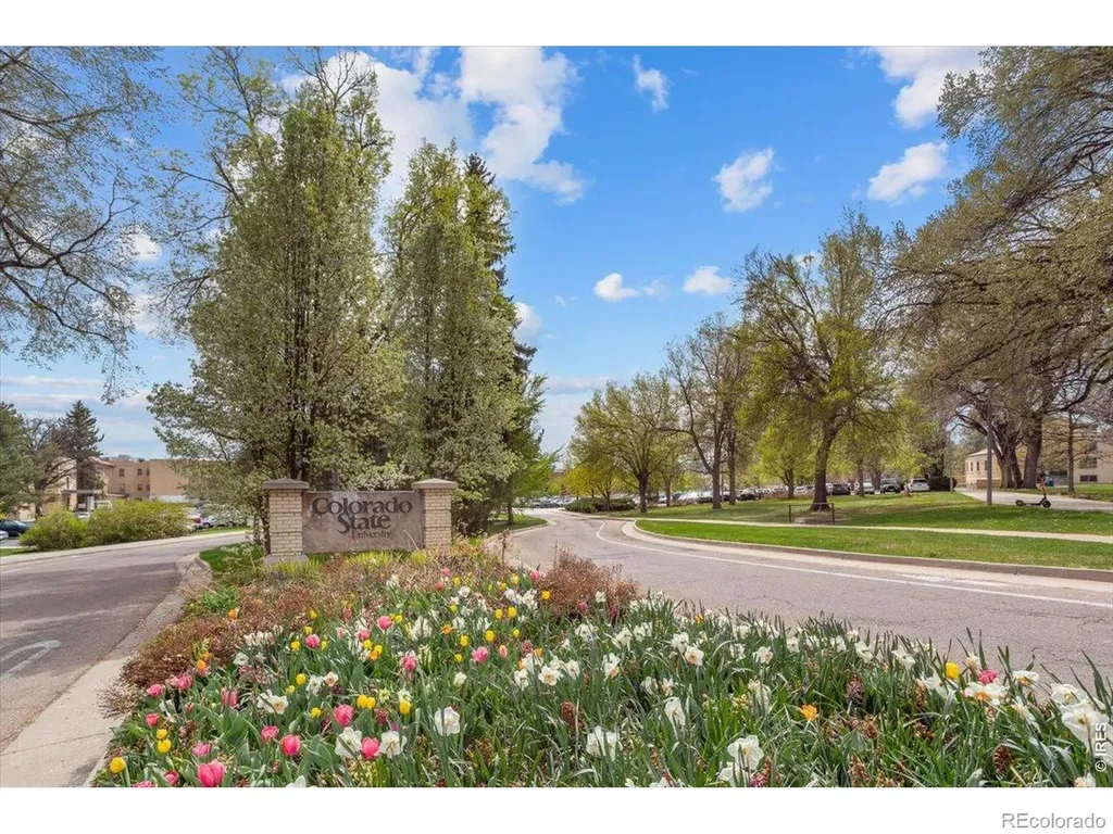 1012 Cuerto Lane Fort Collins CO 80521