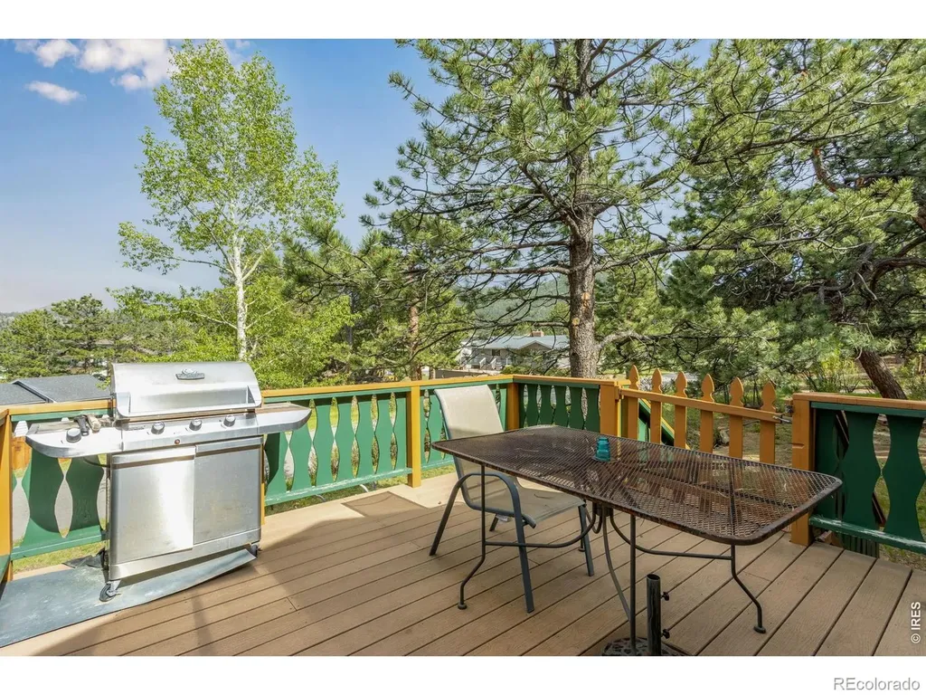 1026 Lexington Lane Estes Park CO 80517