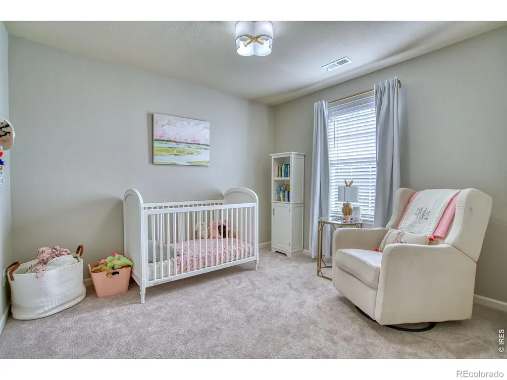 107 Ibiza Court Windsor CO 80550