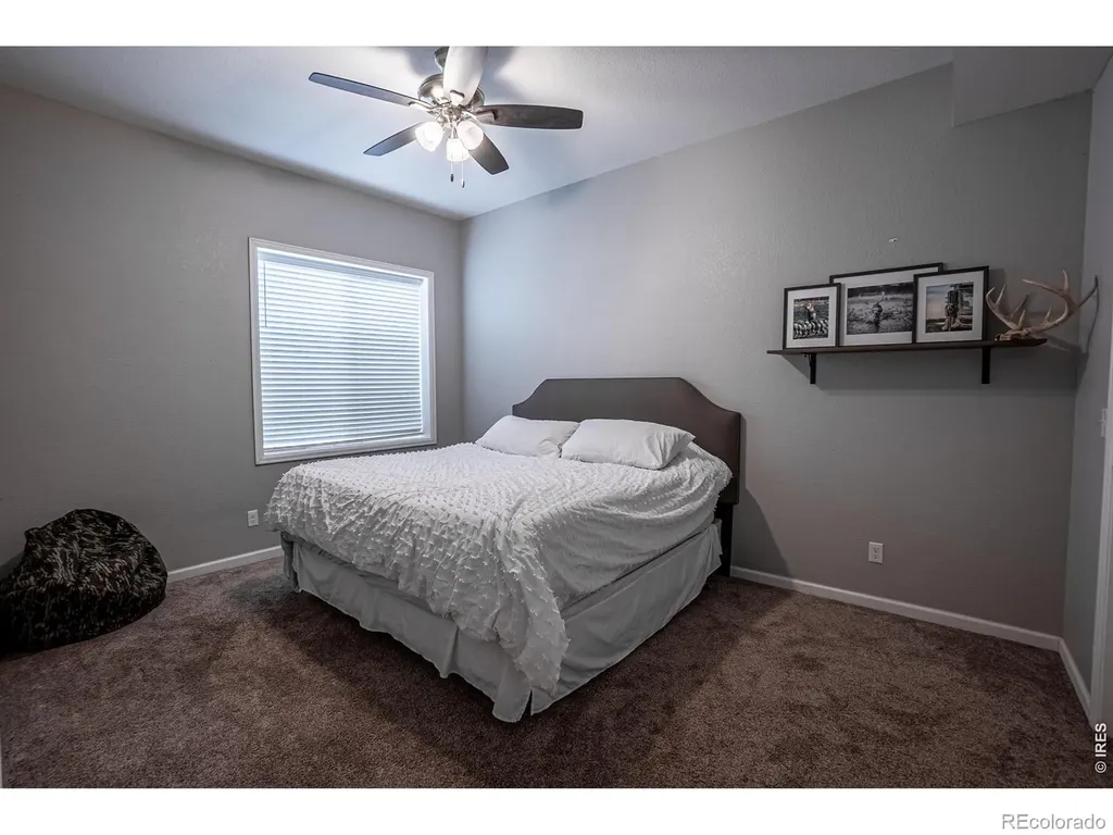 107 Ibiza Court Windsor CO 80550