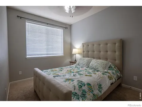 107 Ibiza Court Windsor CO 80550