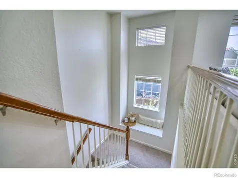 107 Ibiza Court Windsor CO 80550