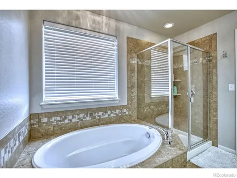 107 Ibiza Court Windsor CO 80550