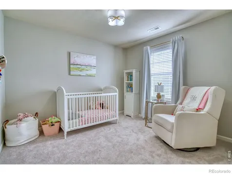 107 Ibiza Court Windsor CO 80550