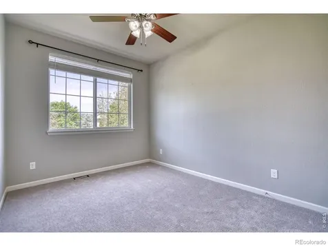 107 Ibiza Court Windsor CO 80550