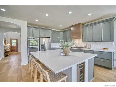 107 Ibiza Court Windsor CO 80550