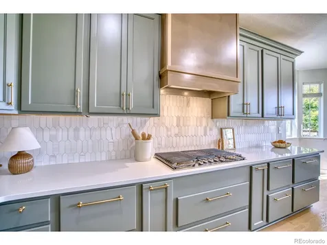 107 Ibiza Court Windsor CO 80550