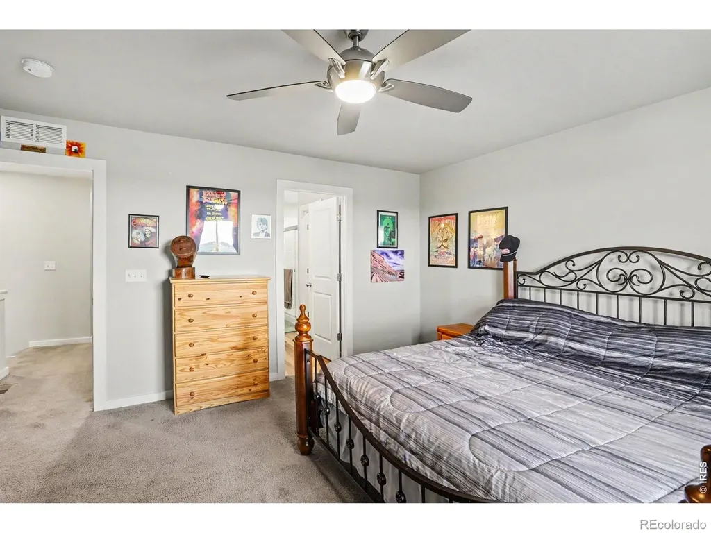 3654 Ronald Reagan Avenue Wellington CO 80549
