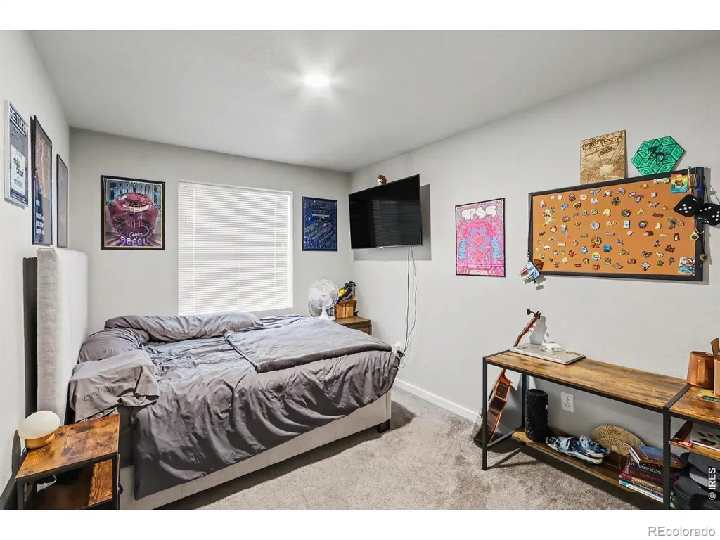 3654 Ronald Reagan Avenue Wellington CO 80549