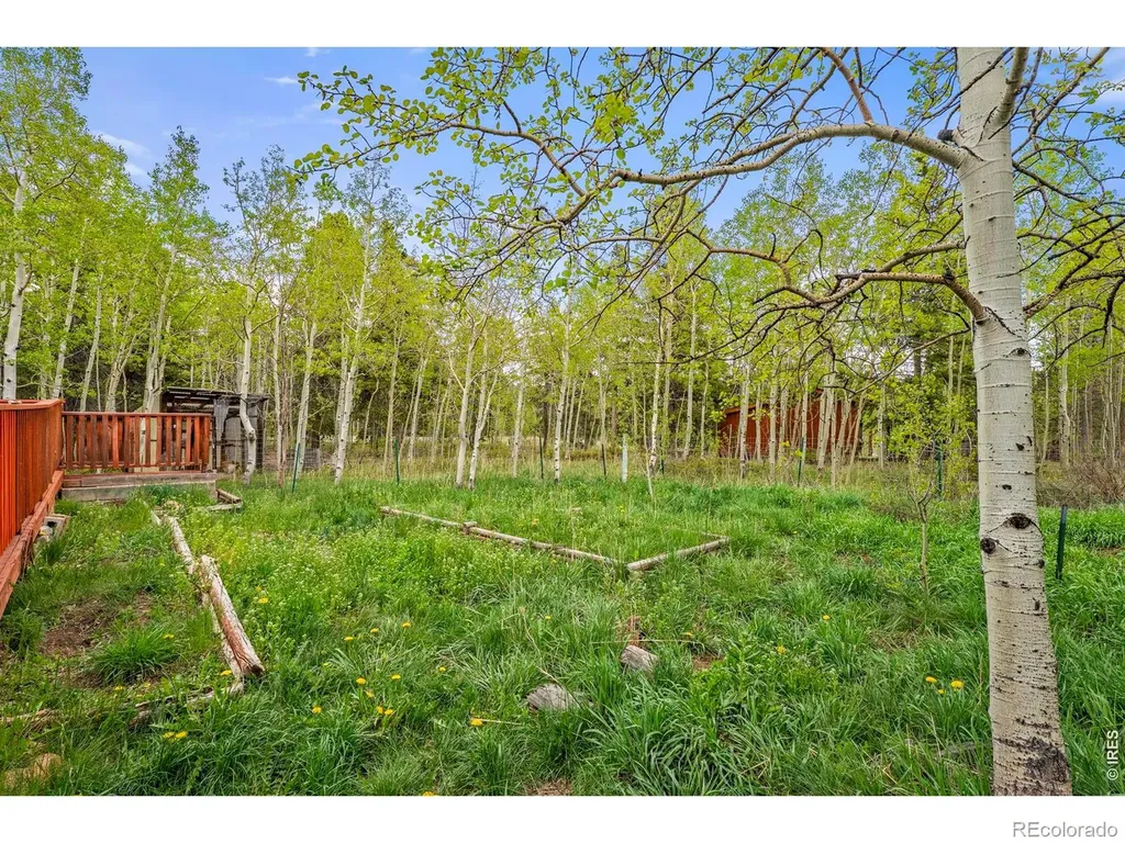 1456 Highpoint Circle Black Hawk CO 80422