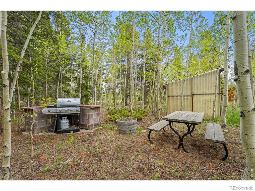 1456 Highpoint Circle Black Hawk CO 80422
