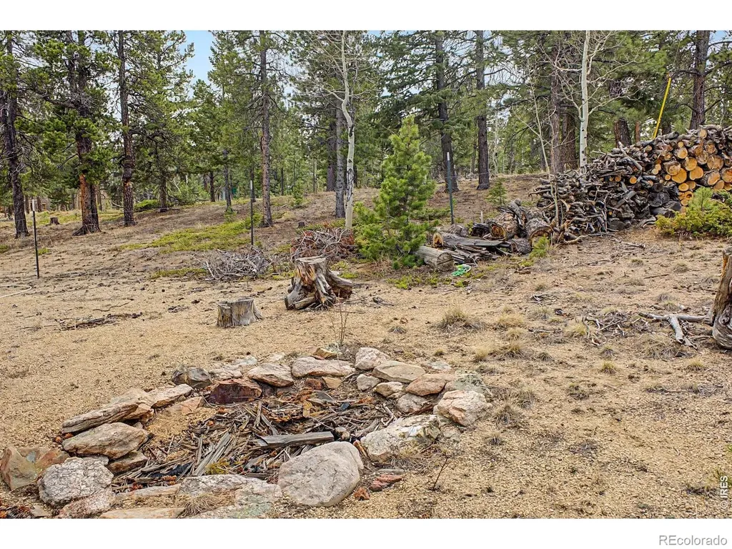 76 Highlands Drive Bailey CO 80421