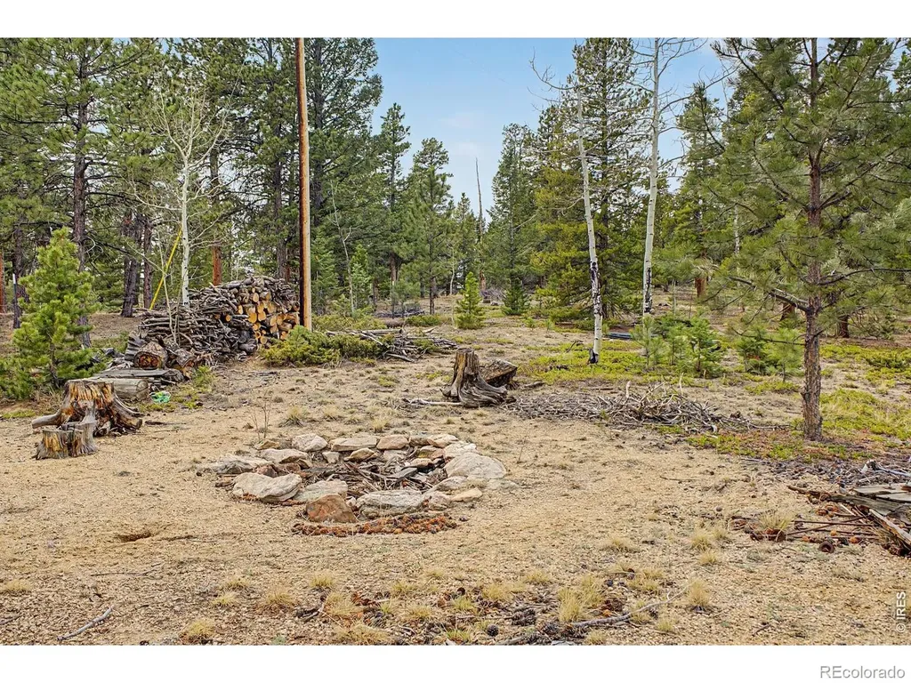 76 Highlands Drive Bailey CO 80421