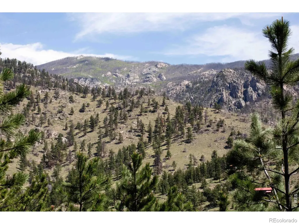 255 Miller Fork Road Glen Haven CO 80532
