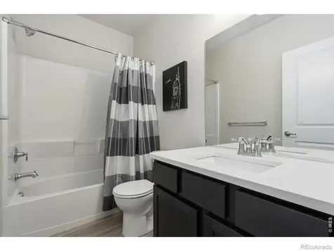 217 Saskatoon Drive Windsor CO 80550