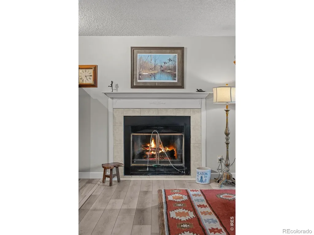 717 10th Street Windsor CO 80550