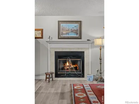 717 10th Street Windsor CO 80550