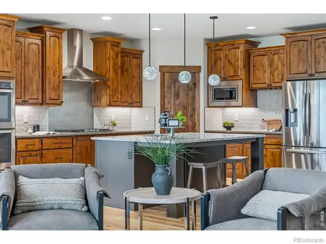 503 Vermilion Peak Drive Windsor CO 80550