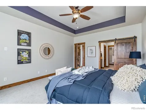 503 Vermilion Peak Drive Windsor CO 80550