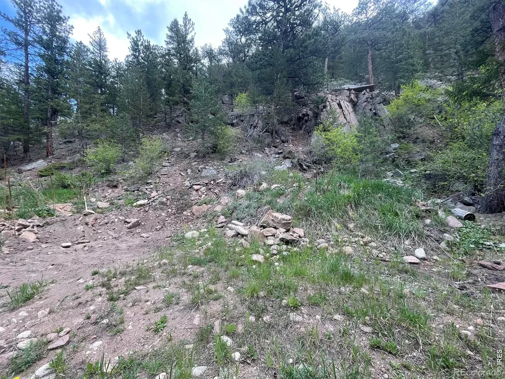 555 Riverside Drive Lyons CO 80540