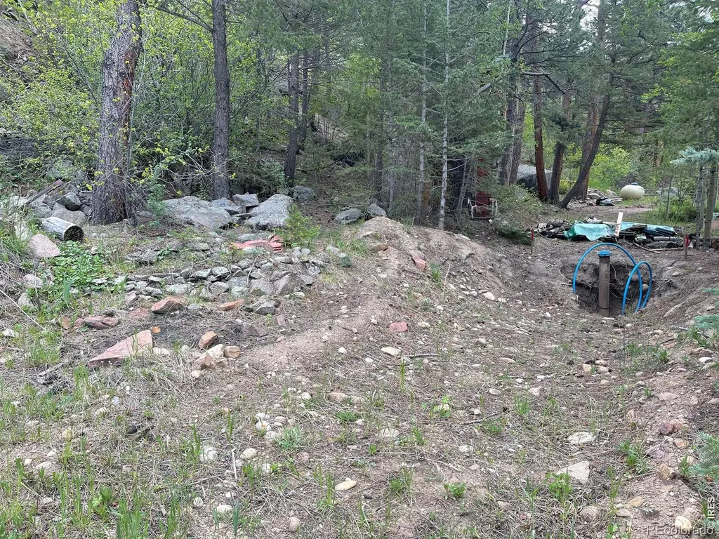 555 Riverside Drive Lyons CO 80540