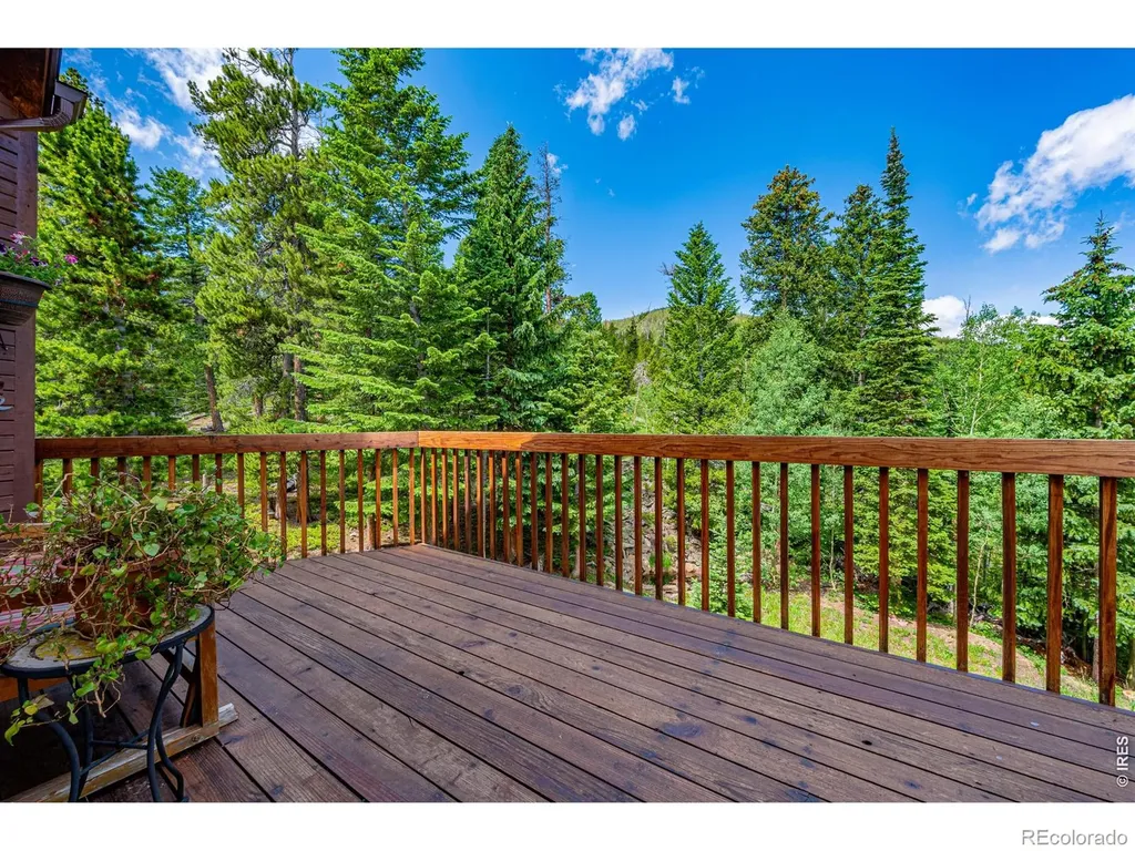 518 Meadow Mountain Drive Allenspark CO 80510