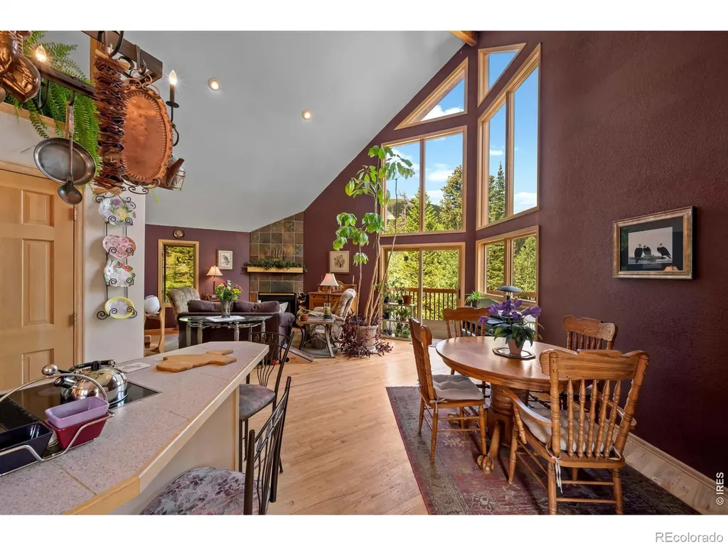 518 Meadow Mountain Drive Allenspark CO 80510