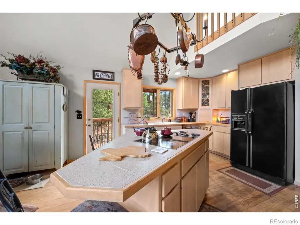 518 Meadow Mountain Drive Allenspark CO 80510