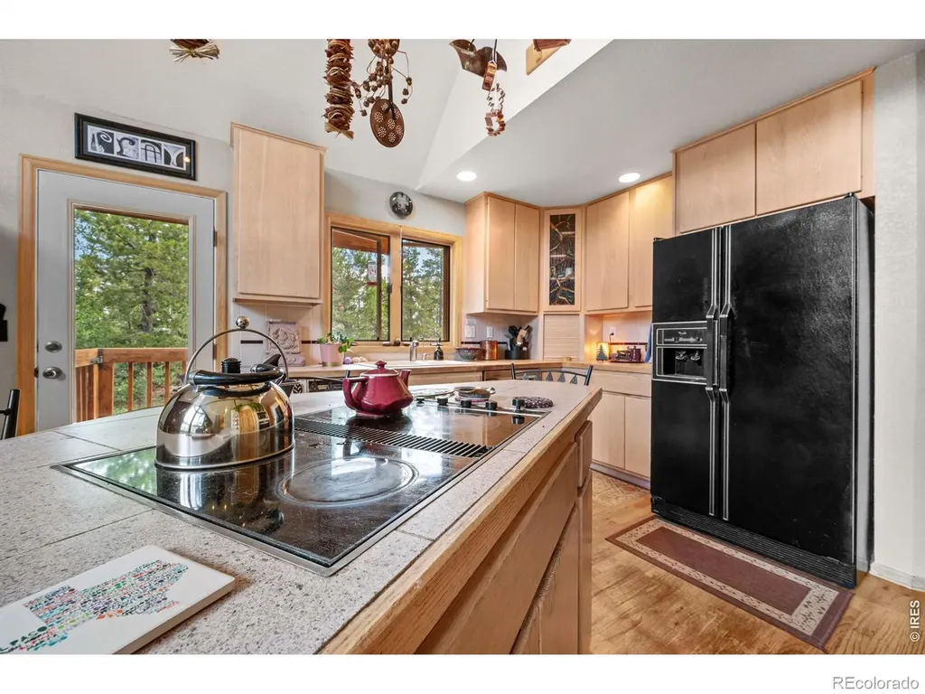 518 Meadow Mountain Drive Allenspark CO 80510