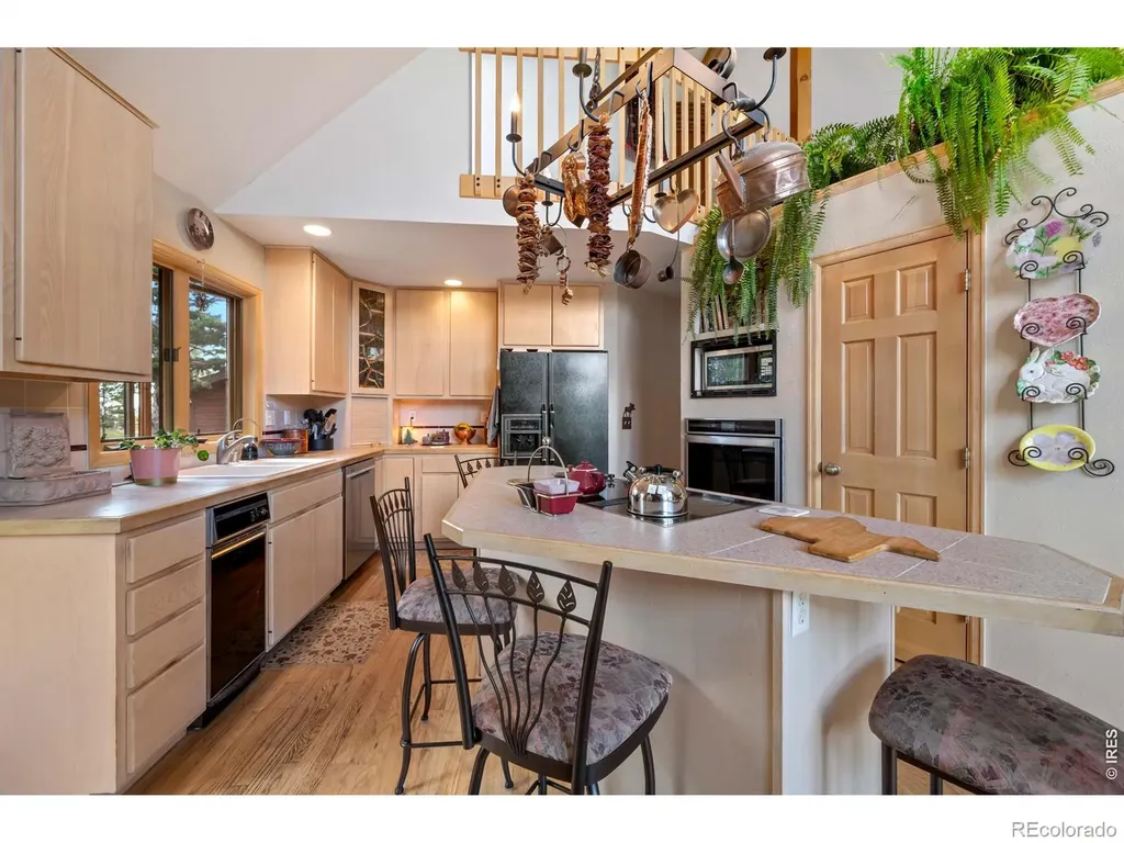 518 Meadow Mountain Drive Allenspark CO 80510