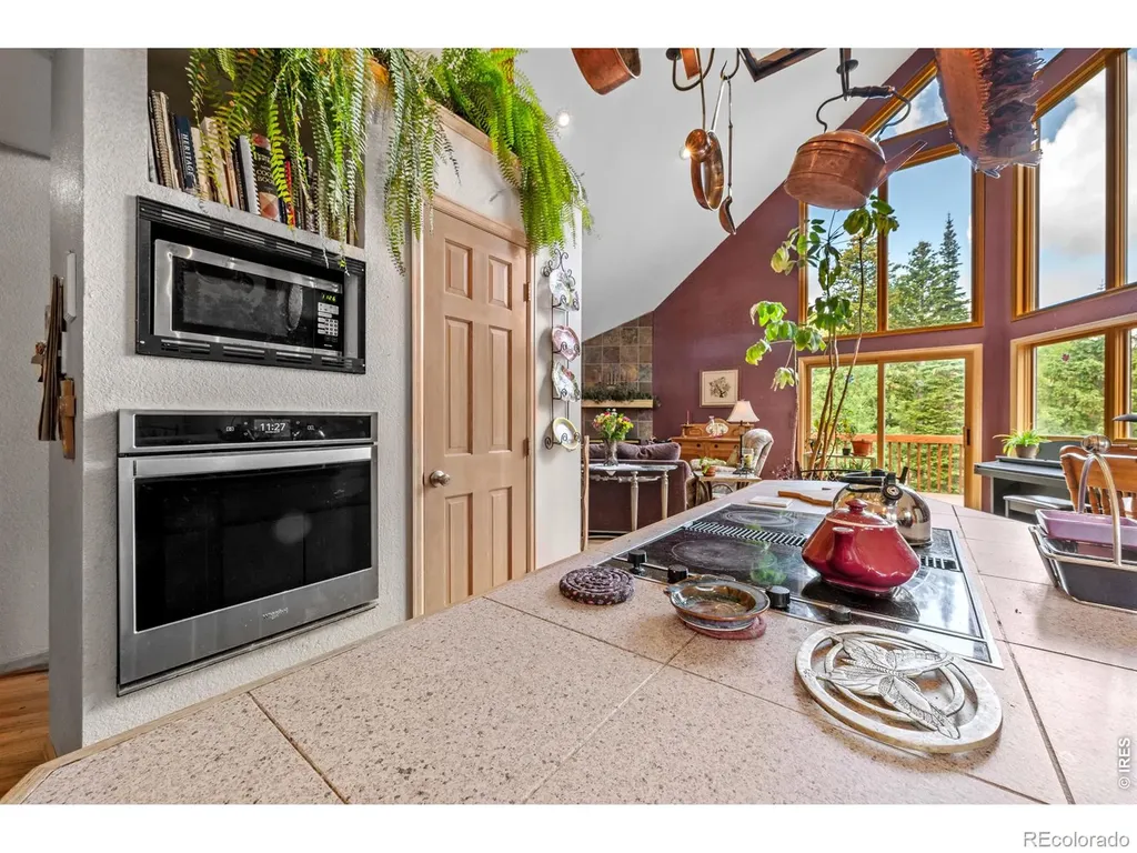 518 Meadow Mountain Drive Allenspark CO 80510