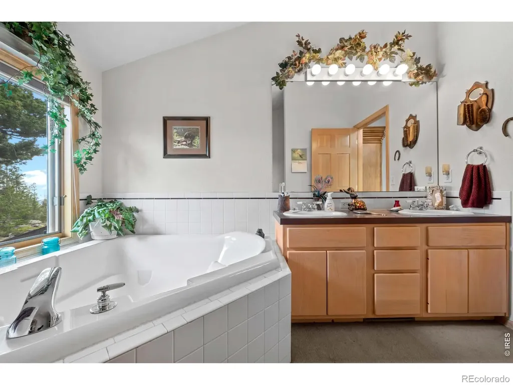 518 Meadow Mountain Drive Allenspark CO 80510