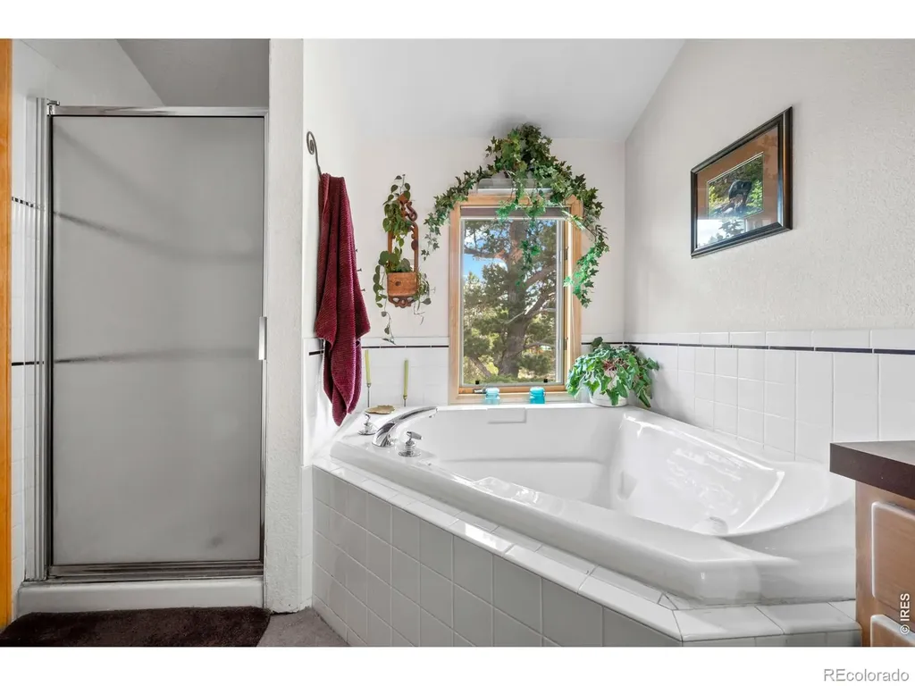 518 Meadow Mountain Drive Allenspark CO 80510