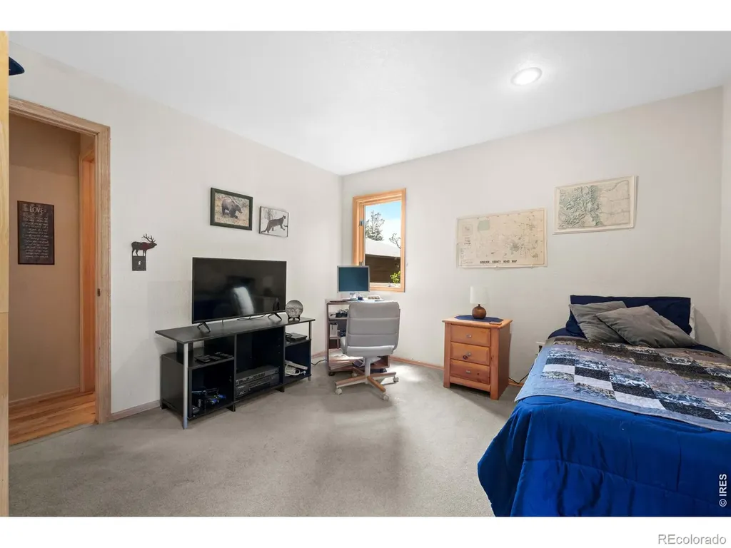 518 Meadow Mountain Drive Allenspark CO 80510