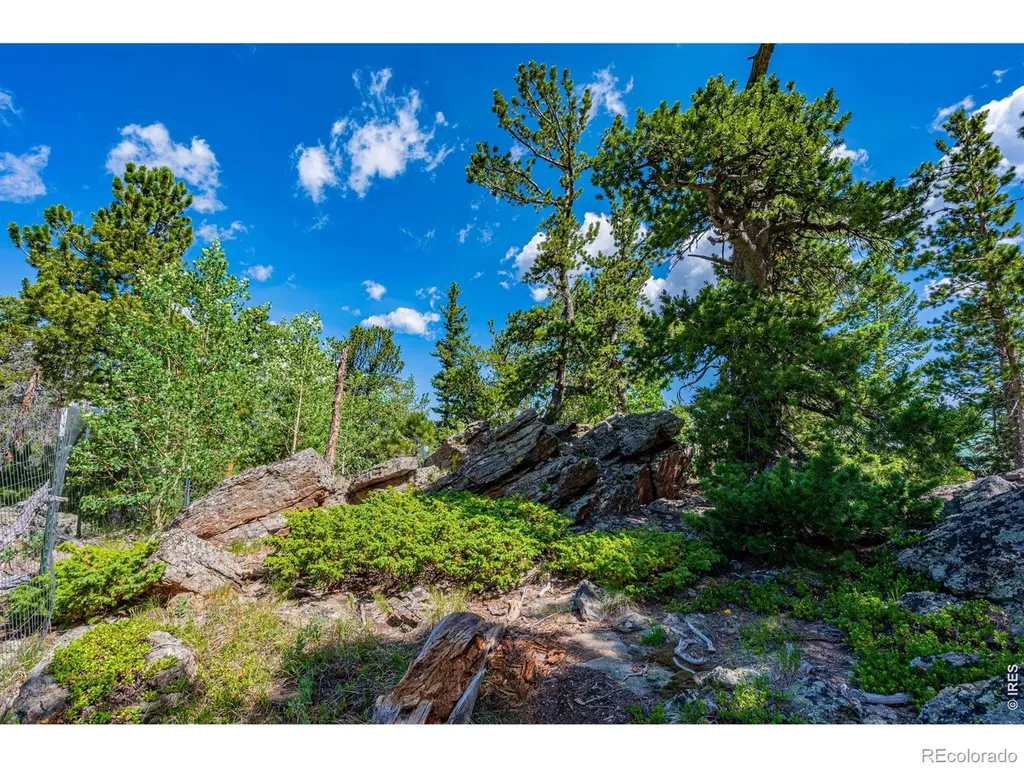518 Meadow Mountain Drive Allenspark CO 80510