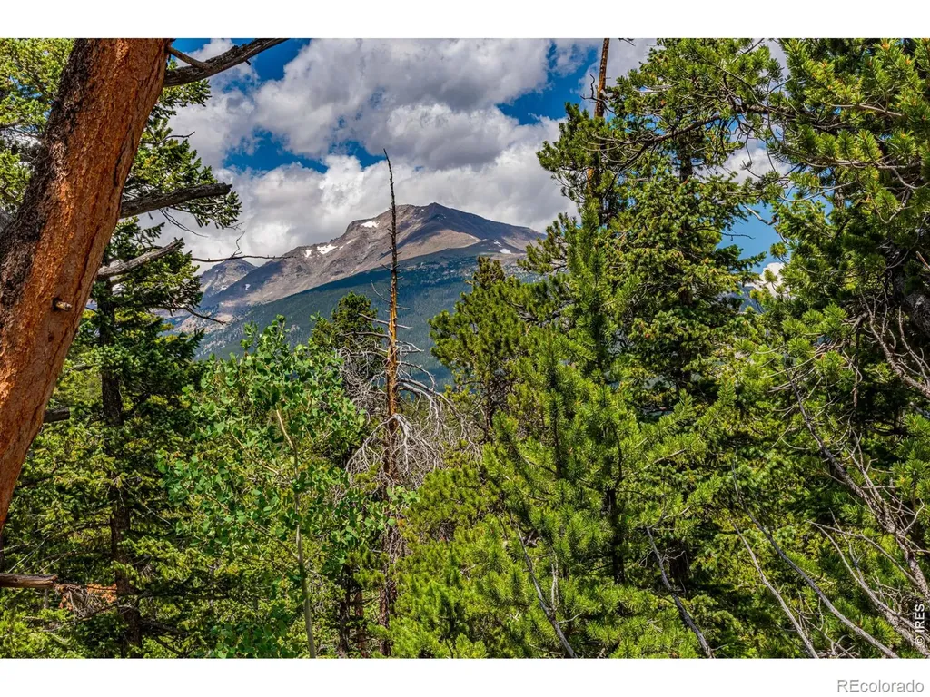 518 Meadow Mountain Drive Allenspark CO 80510