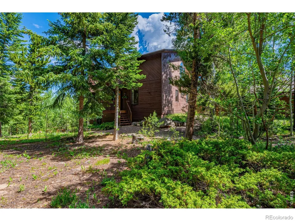 518 Meadow Mountain Drive Allenspark CO 80510