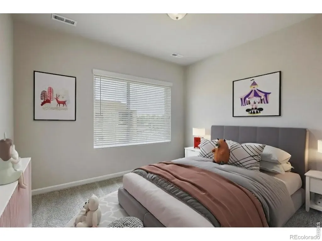 1003 Schlagel Street Fort Collins CO 80524