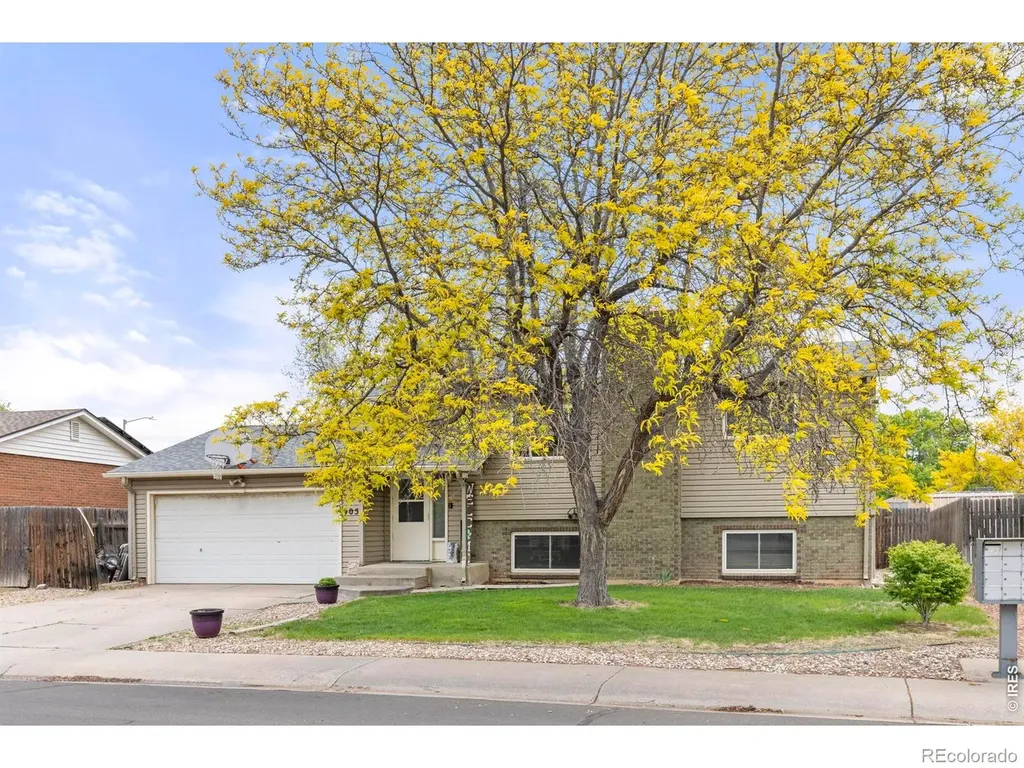 905 Woodbine Drive Windsor CO 80550