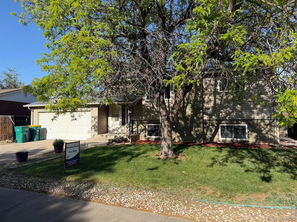 905 Woodbine Drive Windsor CO 80550