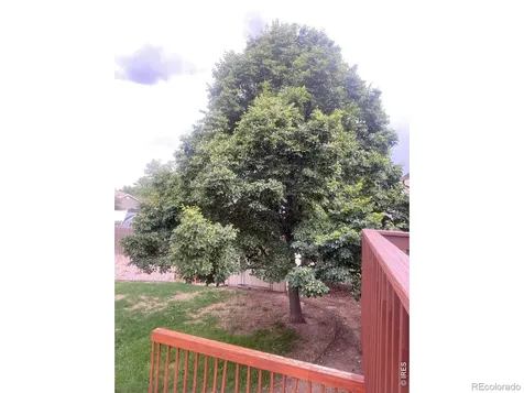 905 Woodbine Drive Windsor CO 80550