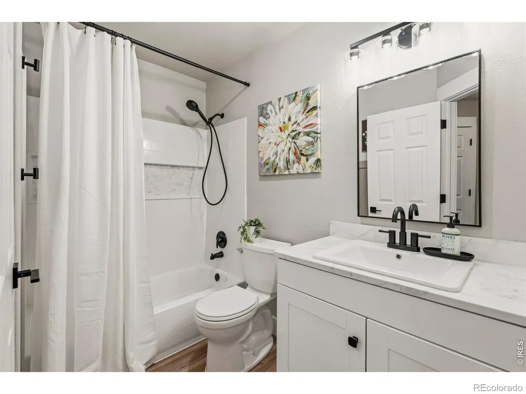 245 Plum Court Windsor CO 80550
