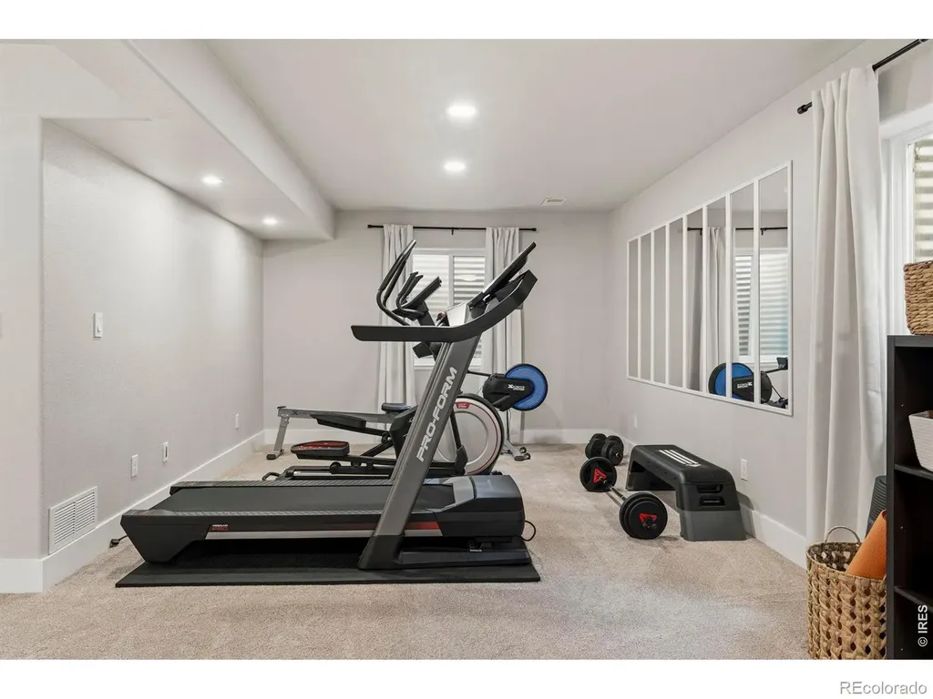 245 Plum Court Windsor CO 80550