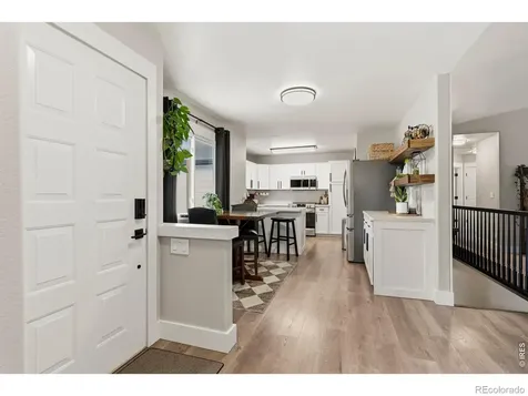 245 Plum Court Windsor CO 80550