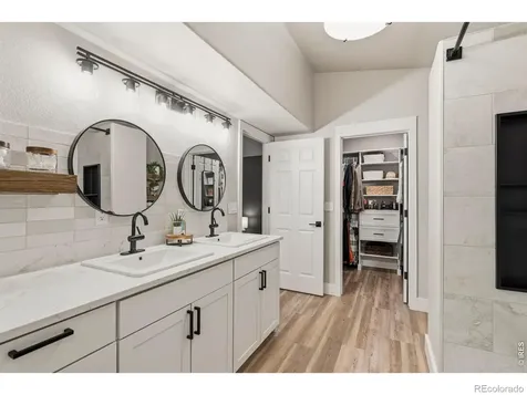 245 Plum Court Windsor CO 80550