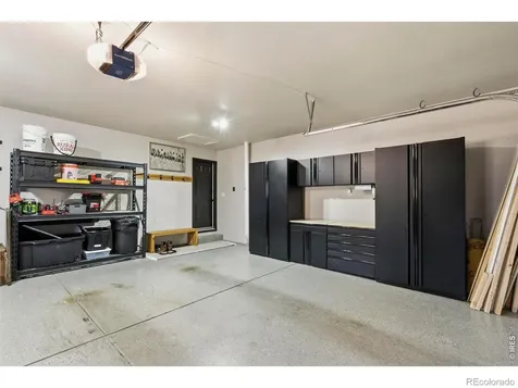 245 Plum Court Windsor CO 80550