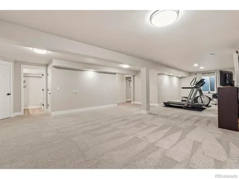 245 Plum Court Windsor CO 80550