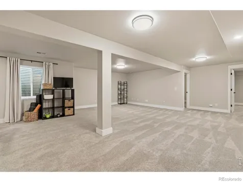 245 Plum Court Windsor CO 80550